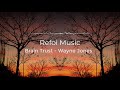 Brain Trust Wayne Jones No Copyright Music YouTube Audio Library
