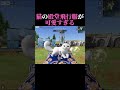 猫の殿堂飛行服が可愛すぎる#テストサーバー #荒野行動 #shorts