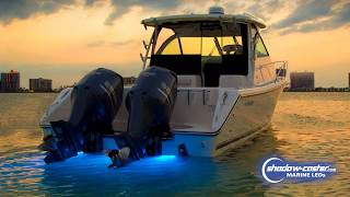 Shadow Caster Marine LEDs   INTENSE Underwater Lighting