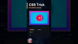CSS Mix Blend Mode | CSS Tips and Tricks #coding #shorts #frontend
