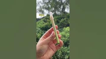 Say goodbye to toxins and hello to clear lungs with this magical mullein and thyme diffuser! #health