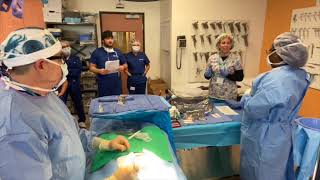 Handling Specimens during a surgical procedure