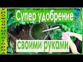 ►СУПЕР УДОБРЕНИЕ СВОИМИ РУКАМИ -ЗАМЕНА НАВОЗА!!!