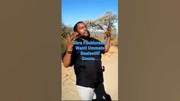 Warra Gammoojjii Baaleetiif Wanti Godhuu Qabnuu 