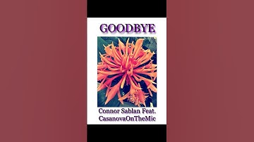NEW SINGLE - Goodbye” streaming 4/19. Pre-Save link in my bio 🤙🙏 #newsingle #fridayvibes #friday