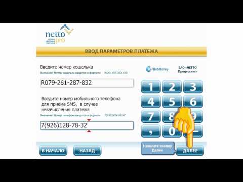 WebMoney Check: Покупка чека