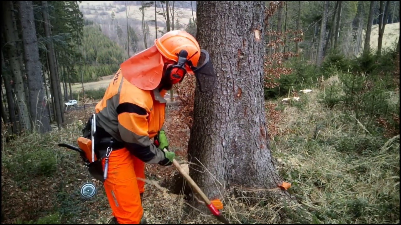 Work in forest, 329-2020, Forstarbeit, Práce v lese 🇨🇿 - YouTube