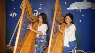 Pirates of the Caribbean – harp duet