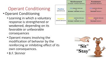 Consumer behavior: Learning and Memory part 2