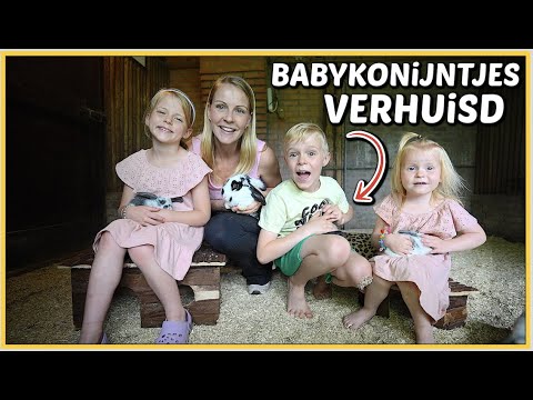 WE GAAN DE BABYKONiJNTJES VERHUiZEN   Bellinga Vlog  2505