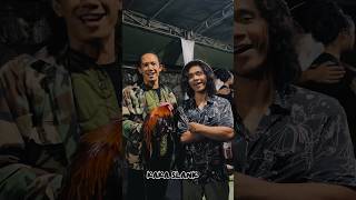 Greetings from Kaka Slank to the Indonesian Onagadori community