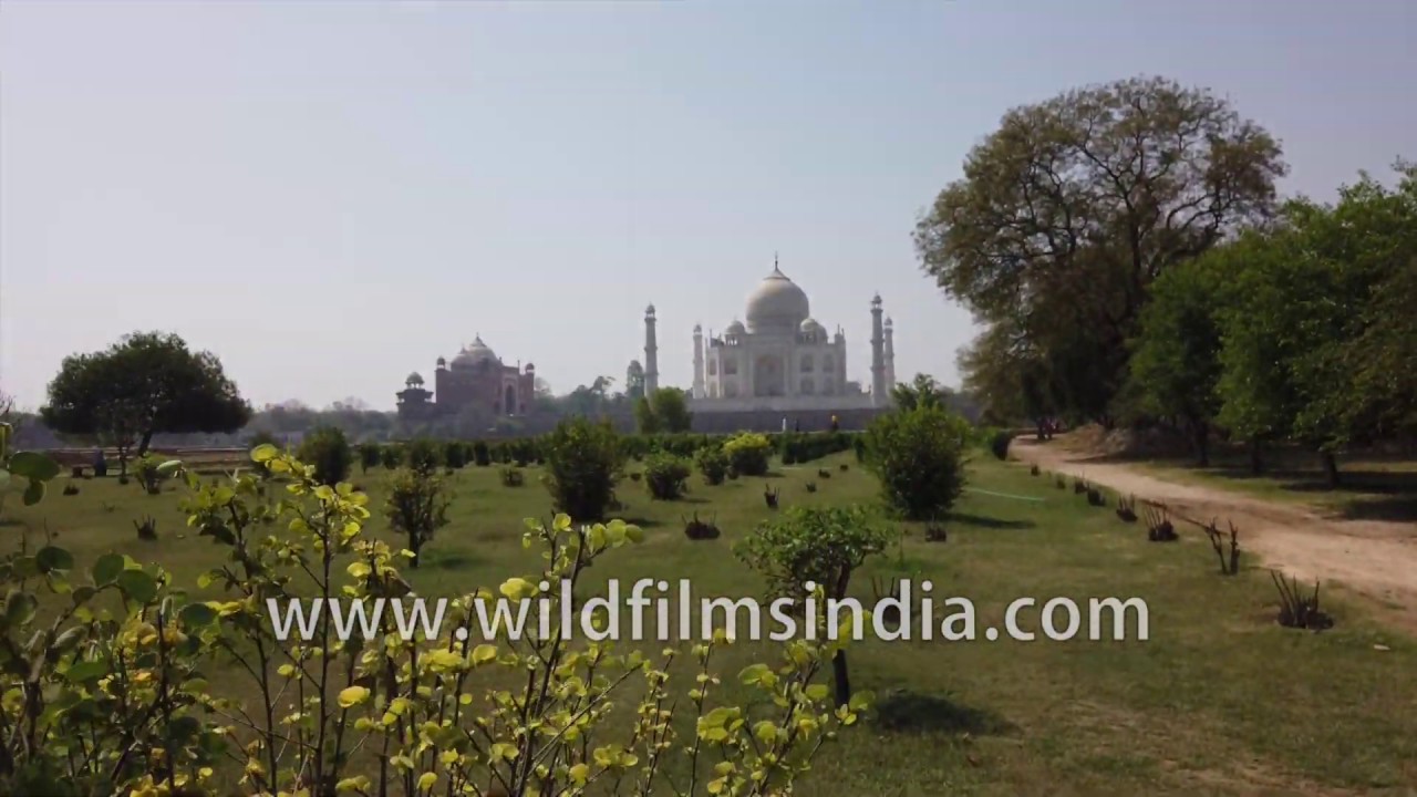 Taj Mahal as seen from Mehtab Bagh gardens across the Yamuna river, Agra