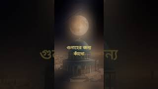 নবী কারীম (সাঃ) জানিয়েছেন নাজাতের সহজ পথ।  ইসলামিক_ভিডিও islamicvideo islamicprayer motivation