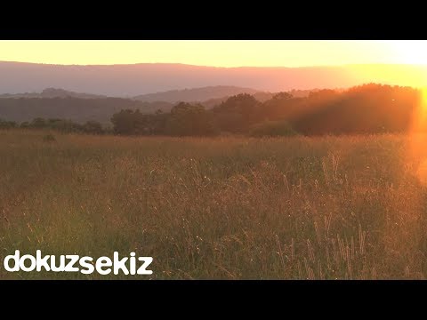 Ezginin Günlüğü - Çalsın Sazlar (Lyric Video)