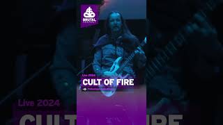 Cult of Fire - Live from Brutal Assault 2024 #brutalassault #festival