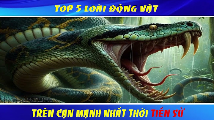 Top kham pha nhung nhan vat manh nhat năm 2024