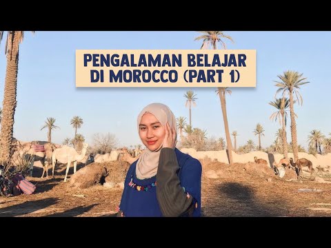 Video: Belajar Di Luar Negeri Di Maroko - Matador Network