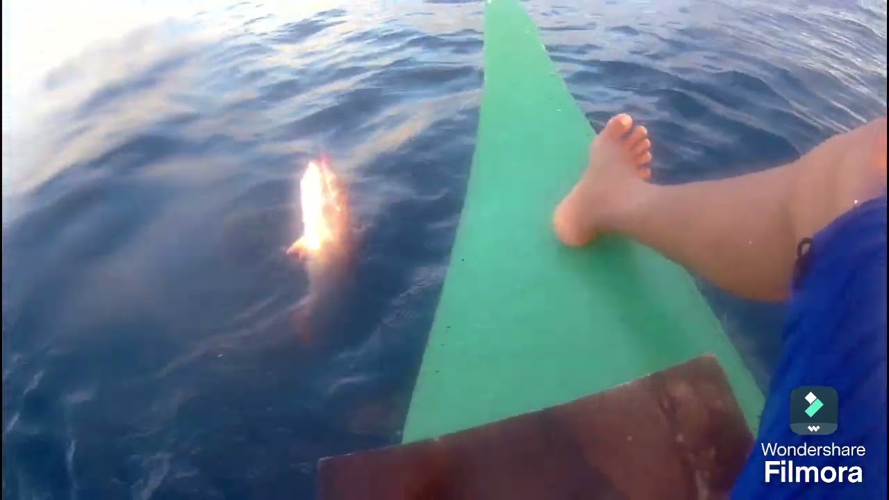 Ep.14 Amberjack and Ruby  