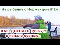 КАК ДОГНАТЬ РЫБУ в канале осенью?! / На рыбалку с Нормундом #124