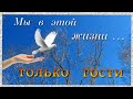 Мы в этой жизни только гости.    Татьяна Снежина.