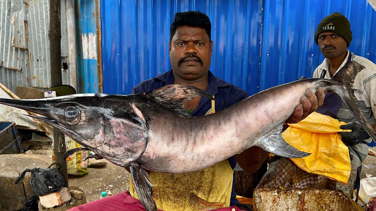 KASIMEDU 🔥 SPEED SELVAM | PANNI KOLA FISH 🐟 MASS CUTTING | 4K VIDEO | N M FISH CUTTING 🔪