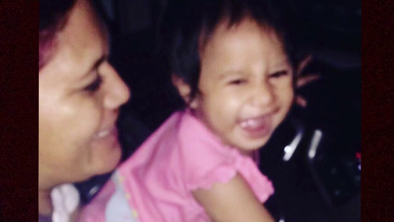 "50th Anniversary 🎊" Fan Video