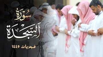 تلاوة هادئة بديعة سورة السجدة كاملة جودة عالية للقارئ محمد بن خالد المبارك 1445 هـ