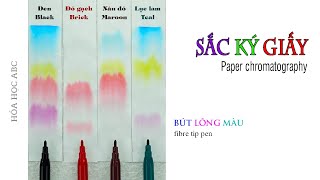 Paper chromatography of felt-tip pen ink. Separating colors using chromatography method