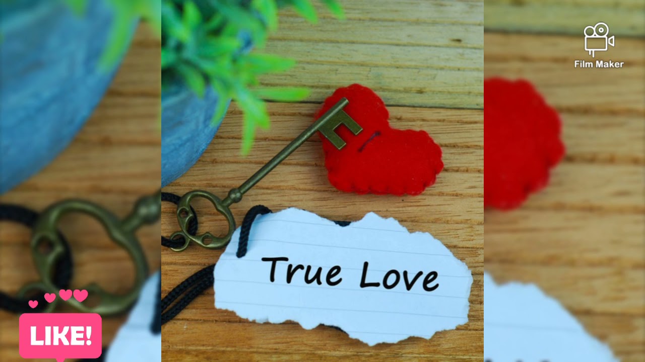 pressure busspipe true love 2021