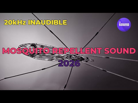 Inaudible Mosquito Repellent Sound Noise : NEW version - More Powerful