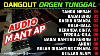 DANGDUT ORGEN TUNGGAL FULL ALBUM TERBARU 2024 - AUDIO MANTAP - FULL BASS
