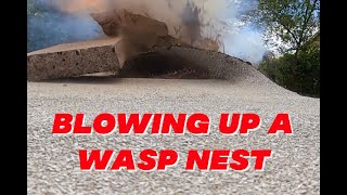 Blowing Up A Wasps Nest