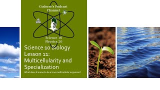 Science 10 Multicellularity and Specialization