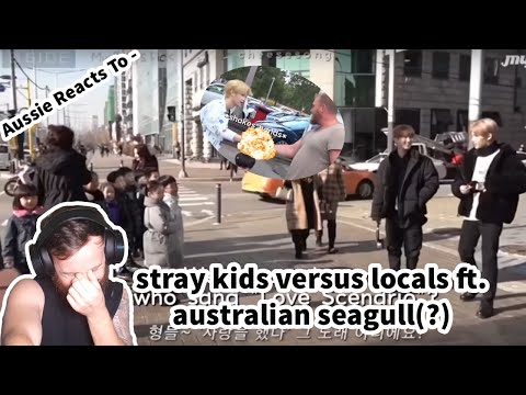 Aussie Reacts To - stray kids versus locals ft. australian seagull(?) | |