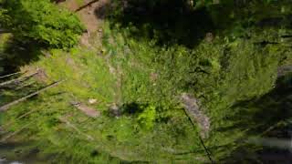 This Video Makes my wanna fly again, Fpv Freestyle no Limits, Good Time from 2023