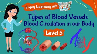 Types of Blood Vessels and their Functions | Science | Grade-5 | TutWay |