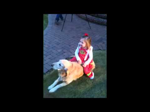 Baby Rides Dog - Highlight Clip - Ms Joy Beth - YouTube