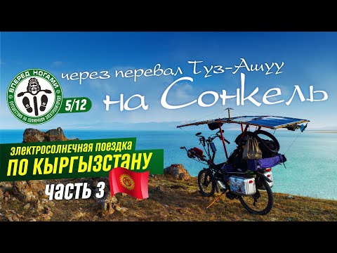 Video: Сырткы розетканы алмаштыруу канча турат?