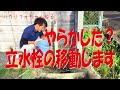 立水栓の修理からの移動　　多能工/DIY/立水栓