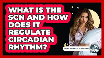 What Is The SCN And How Does It Regulate Circadian Rhythm? - Sleep Wellness Workshop