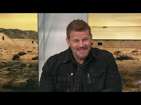 “Seal Team” Finale! | New York Live TV