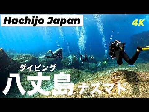 八丈島ダイビングVlog｜透明度抜群！光差すダイナミック地形とマグロ登場　Hachijo Japan Diving Vlog