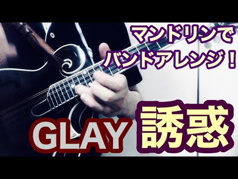 【マンドリンでバンドアレンジ！⑧】誘惑(GLAY)   　 [フラットマンドリンを思いっきりフューチャーしてみた]