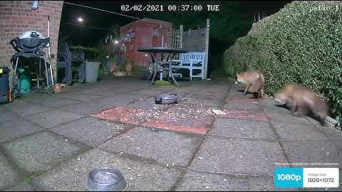 Reolink Argus 2 - Outdoor Wireless Security Camera Review