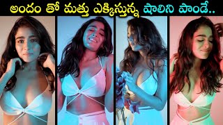 Actress Shalini Pandey Super Hot Photoshoot Video || Shalini Pandey Looks Gorgeous || Silver Screen