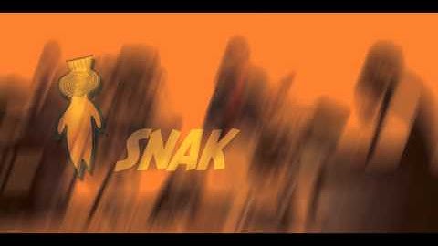 2015 WIND COLLECTORS - Snake Theory