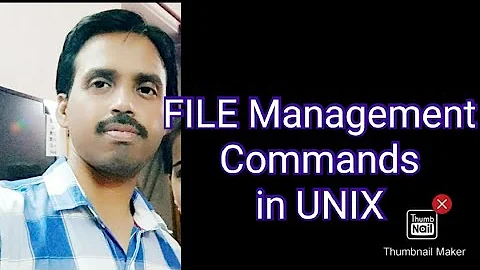 Unix File Management Commands