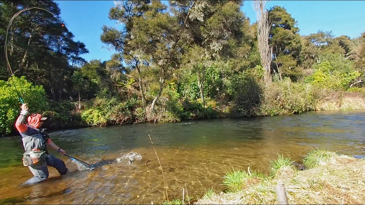 TOP FLY FISHING with Different Methods YouTube