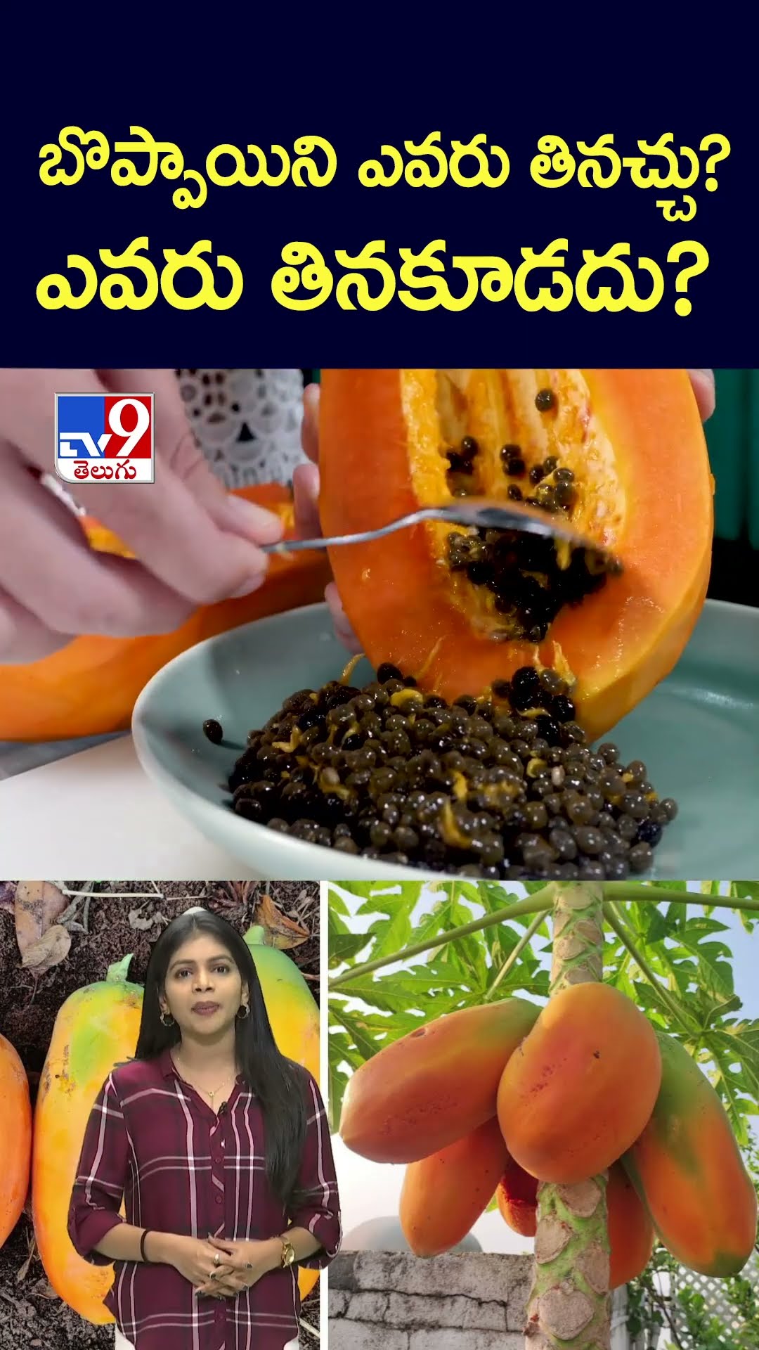 బొప్పాయిని ఎవరు తినచ్చు? ఎవరు తినకూడదు? - TV9