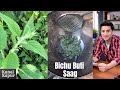 Bichu Buti ka Saag Uttarakhand | Stinging Nettle | Kunal Kapur Kumaoni Garhwali Pahari Kandali Sisnu